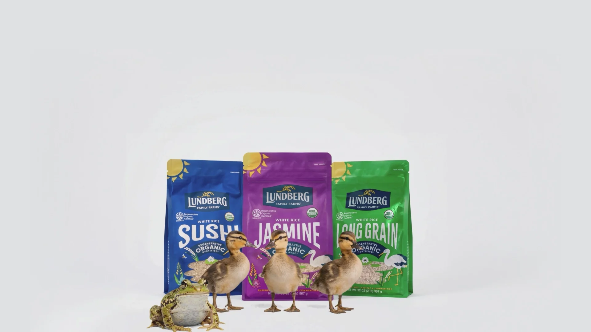 Pure Rice, Straight From Our Farm