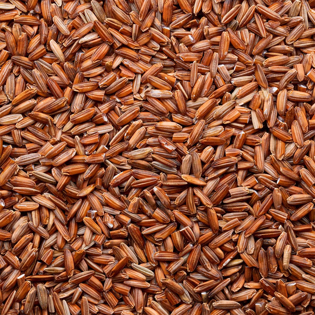 Organic Red Jasmine Rice - Image 2