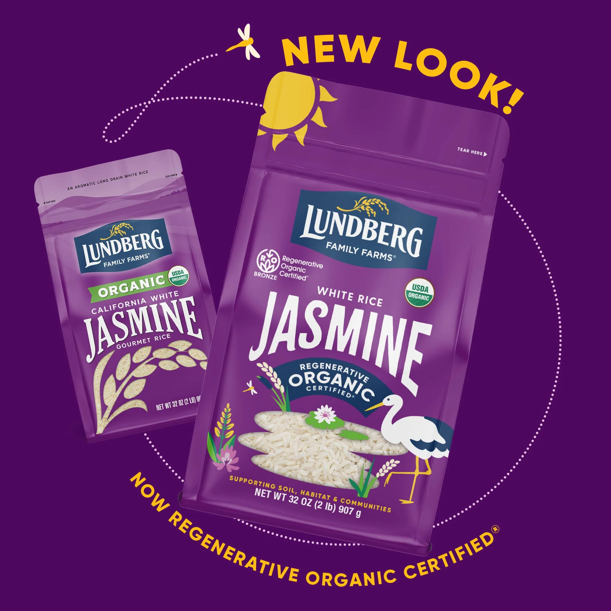 Organic White Jasmine Rice - Image 4