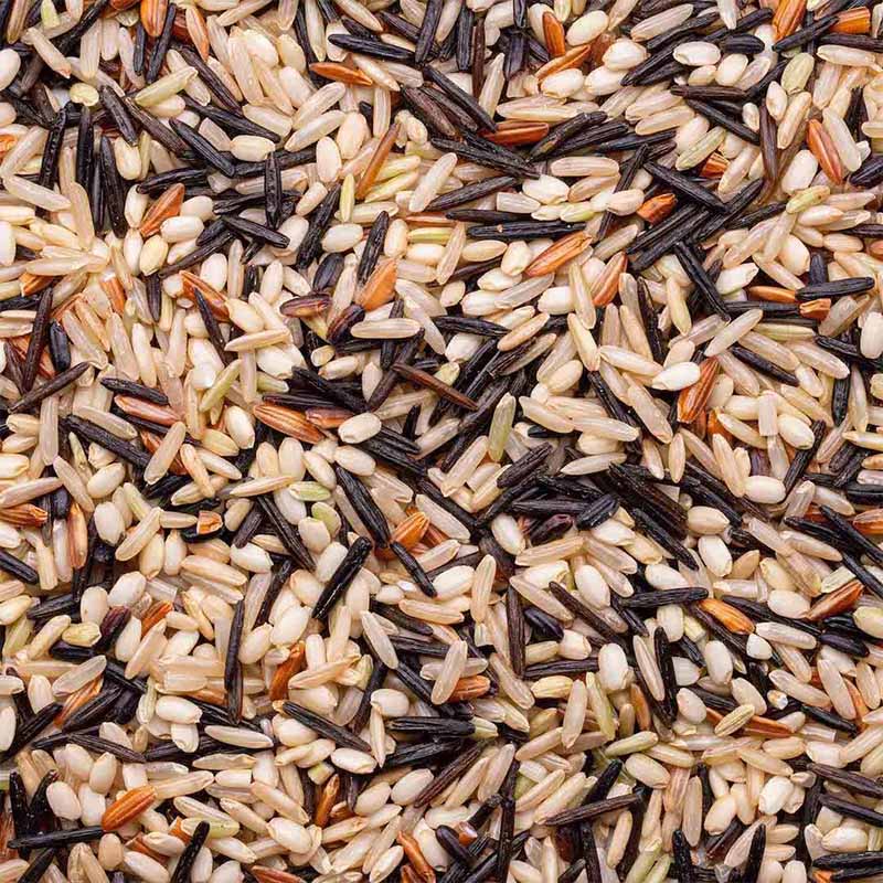 Organic Wild Blend® Rice - Image 2